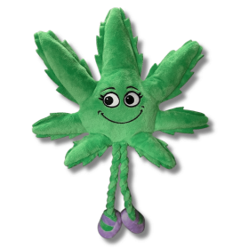 My Name is Mary Jane, Cute Stuffed Parody Marijuana Leaf Dog Toy, Funny Squeaky Weed Toy, Cool Plush Novelty 420 Gift for Puppies & Small