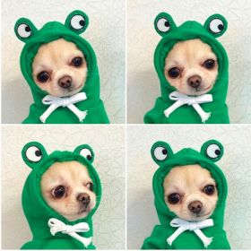 Cute Fruit Dog Clothes For Small Dogs Hoodies Winter Warm Fleece Pet Clothing Puppy Cat Costume Coat For French Chihuahua Outfit (Option: 5 Style-L)